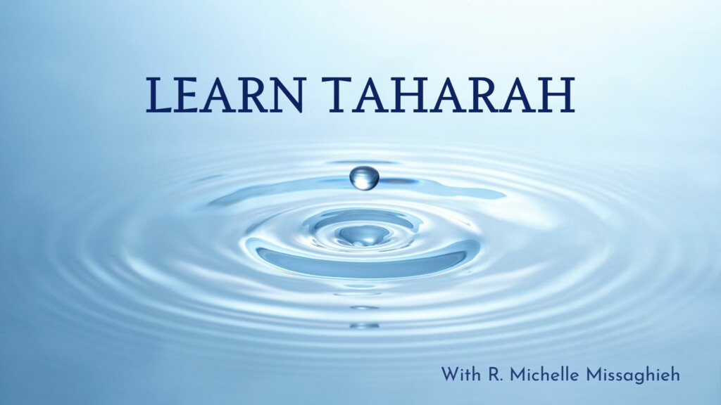 Learn Taharah